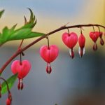 دانلود آهنگ نگران دوریتم من چجوری دیگه بگم از هایده (هوش مصنوعی)